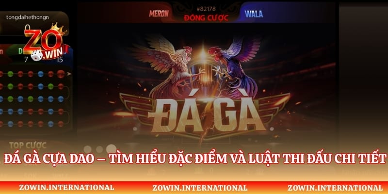 Đá Gà Cựa Dao – Tìm Hiểu Đặc Điểm Và Luật Thi Đấu Chi Tiết