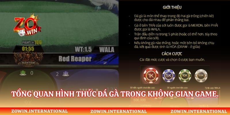 Tổng quan hình thức đá gà trong không gian game.